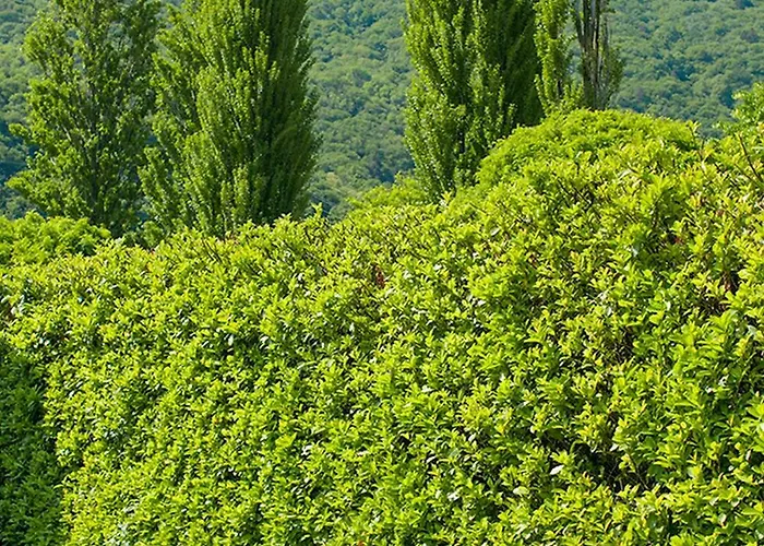 Casa Ponte Ballerino *